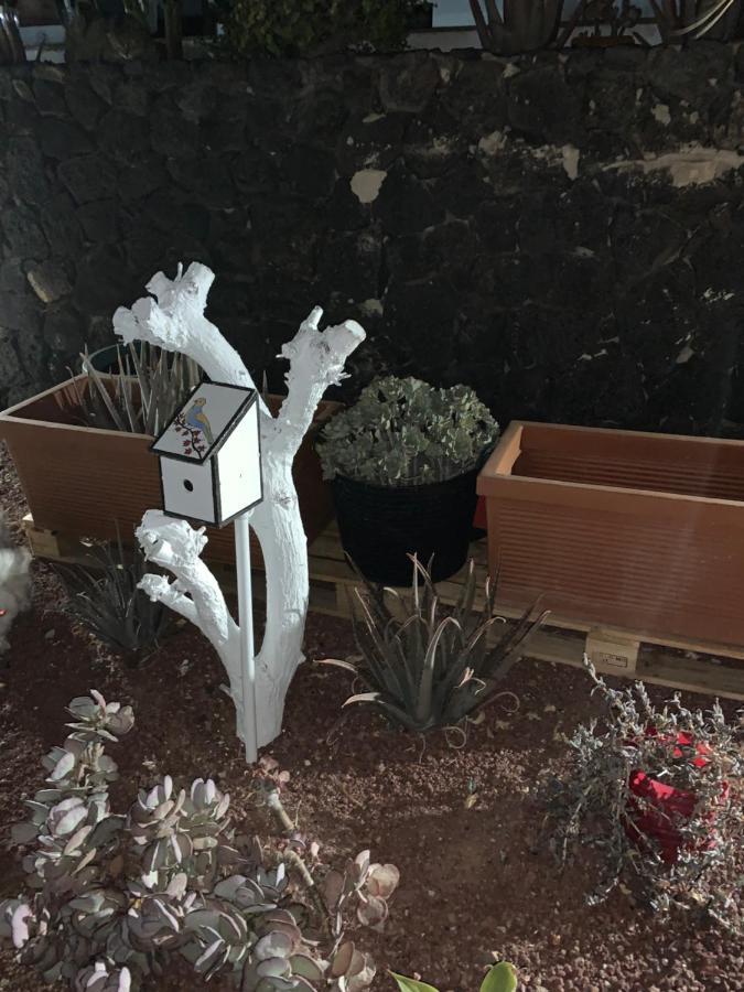 Artsy Casa Timanfaya, Playa Blanca (Lanzarote)