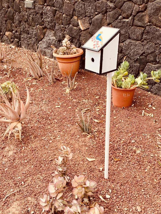 Artsy Casa Timanfaya,